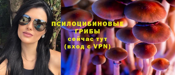 PSILOCYBIN Богородицк